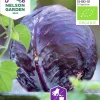 Fröer Nelson Garden Rödkål Langedijker Bewaar 2