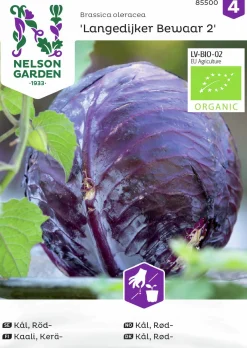 Fröer Nelson Garden Rödkål Langedijker Bewaar 2