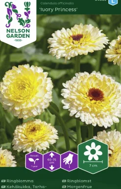 Fröer Nelson Garden Ringblomma Ivory Princess