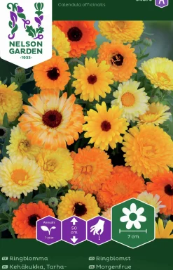 Fröer Nelson Garden Ringblomma Blandade Färger