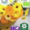 Fröer Nelson Garden Ringblomma Organic Mix färg