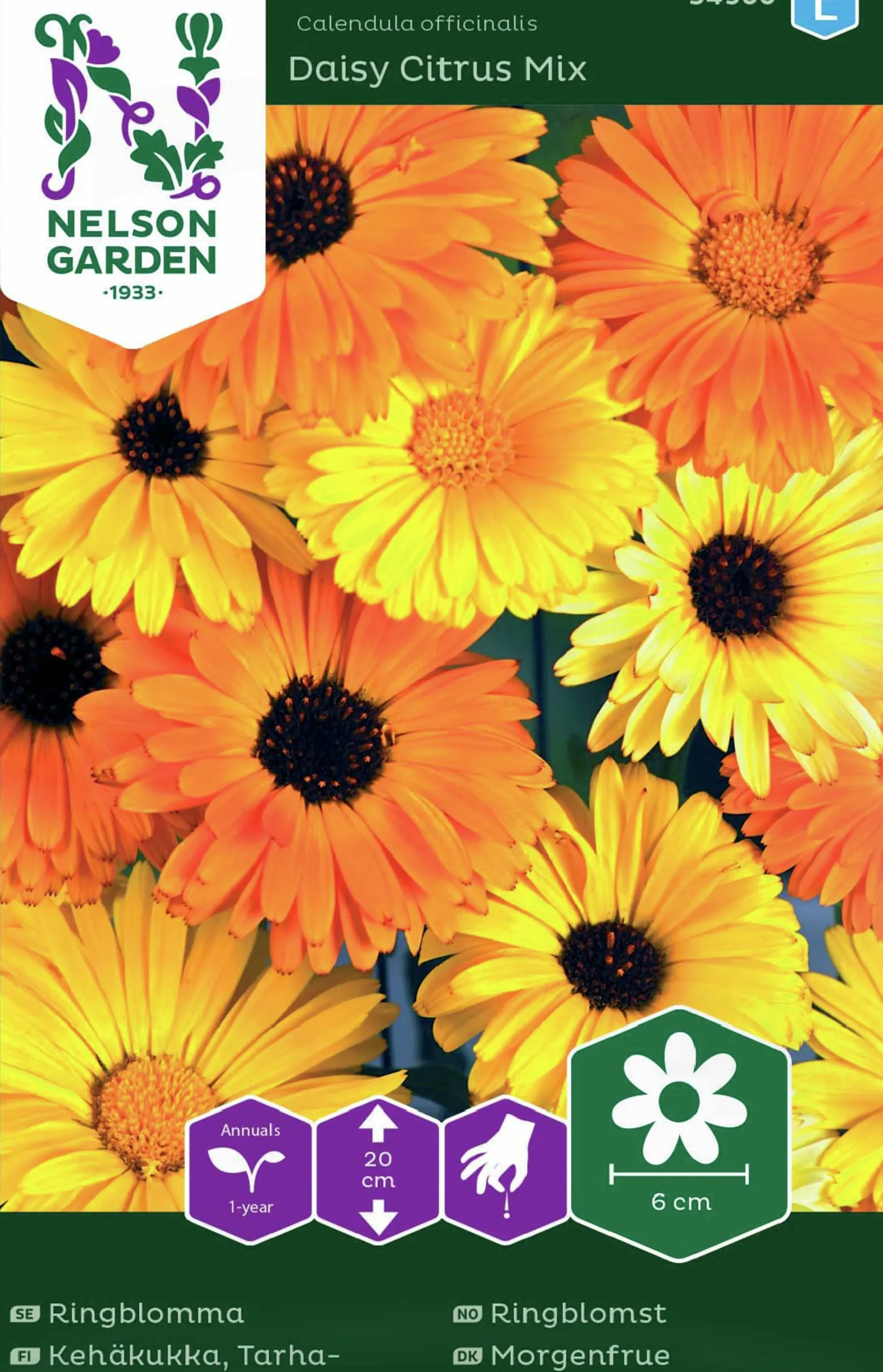 Fröer Nelson Garden Ringblomma Daisy Citrus Mix Låg