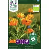 Fröer Nelson Garden Ringblomma Mix färg Organic