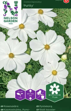 Fröer Nelson Garden Rosenskära Purity Vit