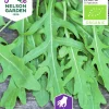 Fröer Nelson Garden Ruccola Sandsenap Organic