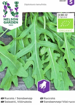 Fröer Nelson Garden Ruccola Sandsenap Organic