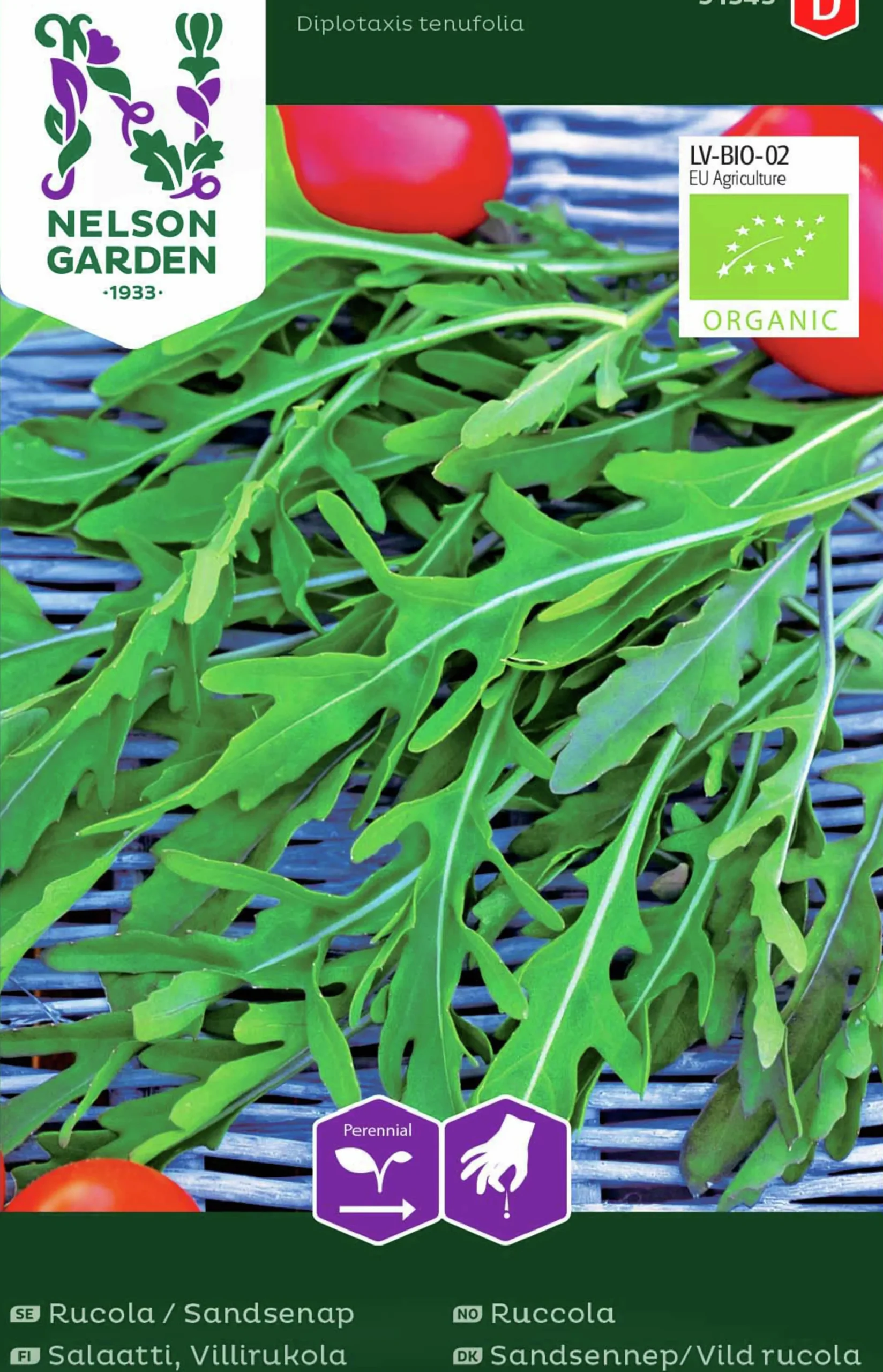 Fröer Nelson Garden Rucola / Sandsenap Ekologisk