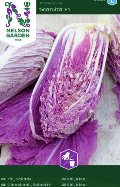 Fröer Nelson Garden Salladskål Scarvita F1