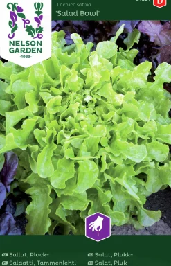 Fröer Nelson Garden Sallat Plock- Salad Bowl Grön