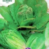 Fröer Nelson Garden Sallat Romersk Lobjoits Green Cos