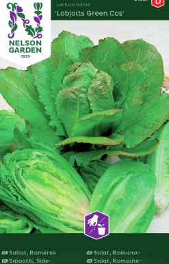 Fröer Nelson Garden Sallat Romersk Lobjoits Green Cos