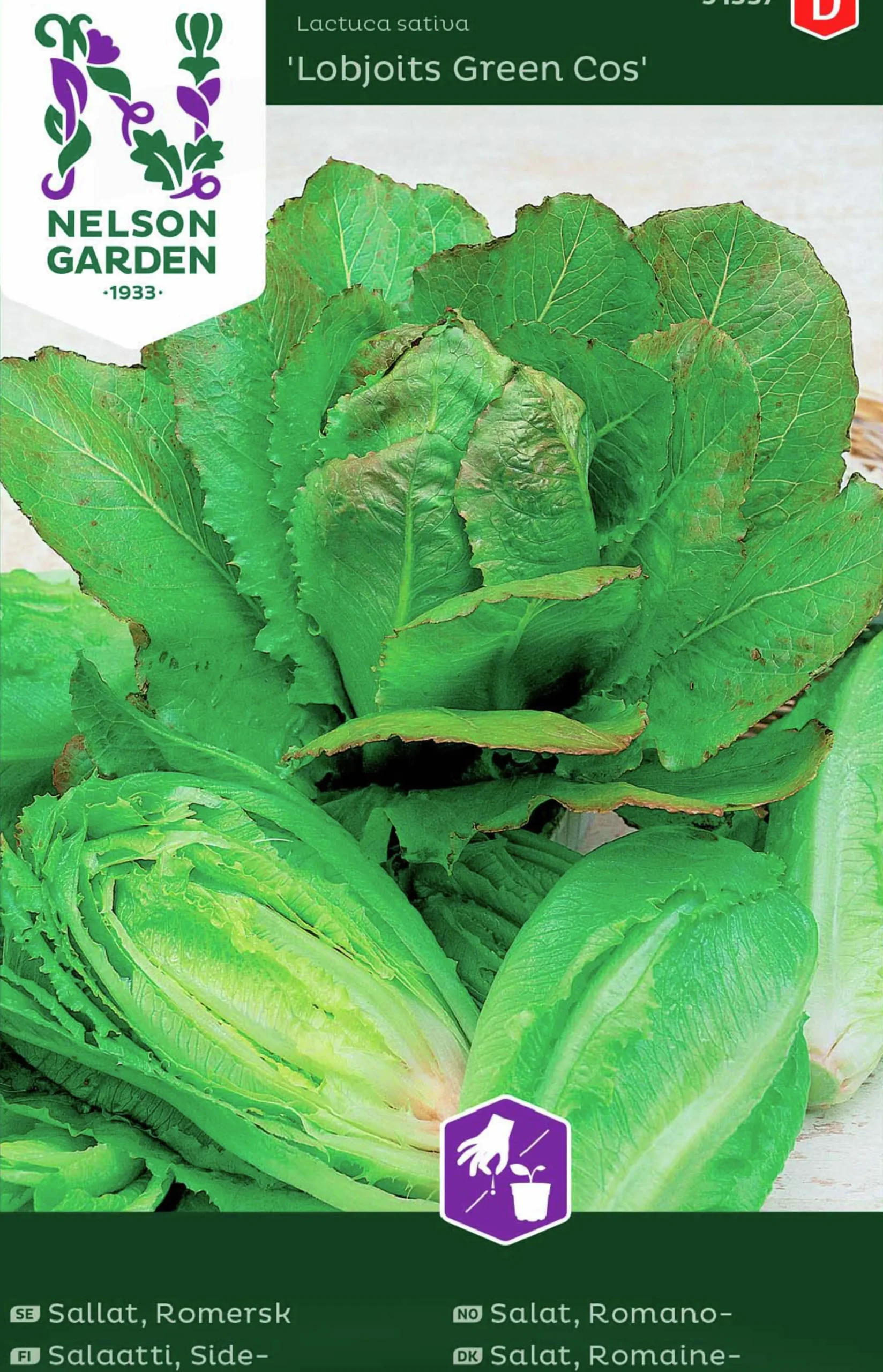 Fröer Nelson Garden Sallat Romersk Lobjoits Green Cos