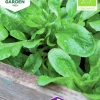 Fröer Nelson Garden Sallat Vinter- /Mache- Vit Ekologisk