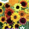 Fröer Nelson Garden Solros Blandade Sorter Hög