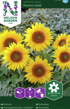 Fröer Nelson Garden Solros Pacino Gold Låg