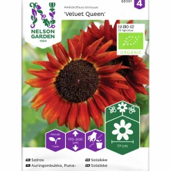 Fröer Nelson Garden Solros Velvet Queen Organic