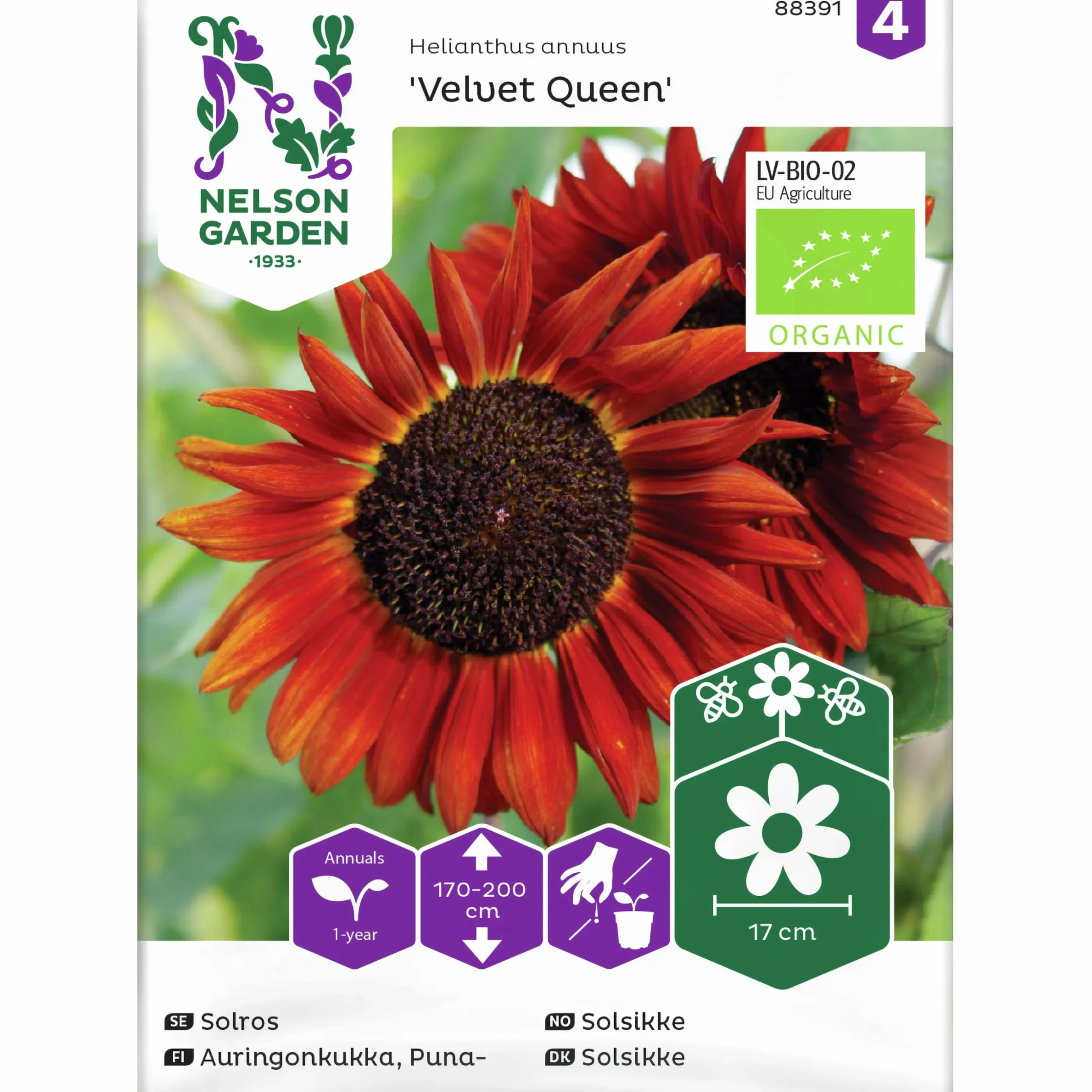 Fröer Nelson Garden Solros Velvet Queen Organic