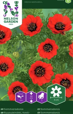 Fröer Nelson Garden Sommaradonis Röd