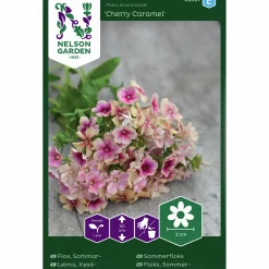 Fröer Nelson Garden Sommarflox Cherry Caramel