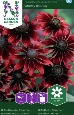 Fröer Nelson Garden Sommarrudbeckia Cherry Brandy