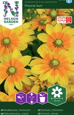 Fröer Nelson Garden Sommarrudbeckia Prairie Sun