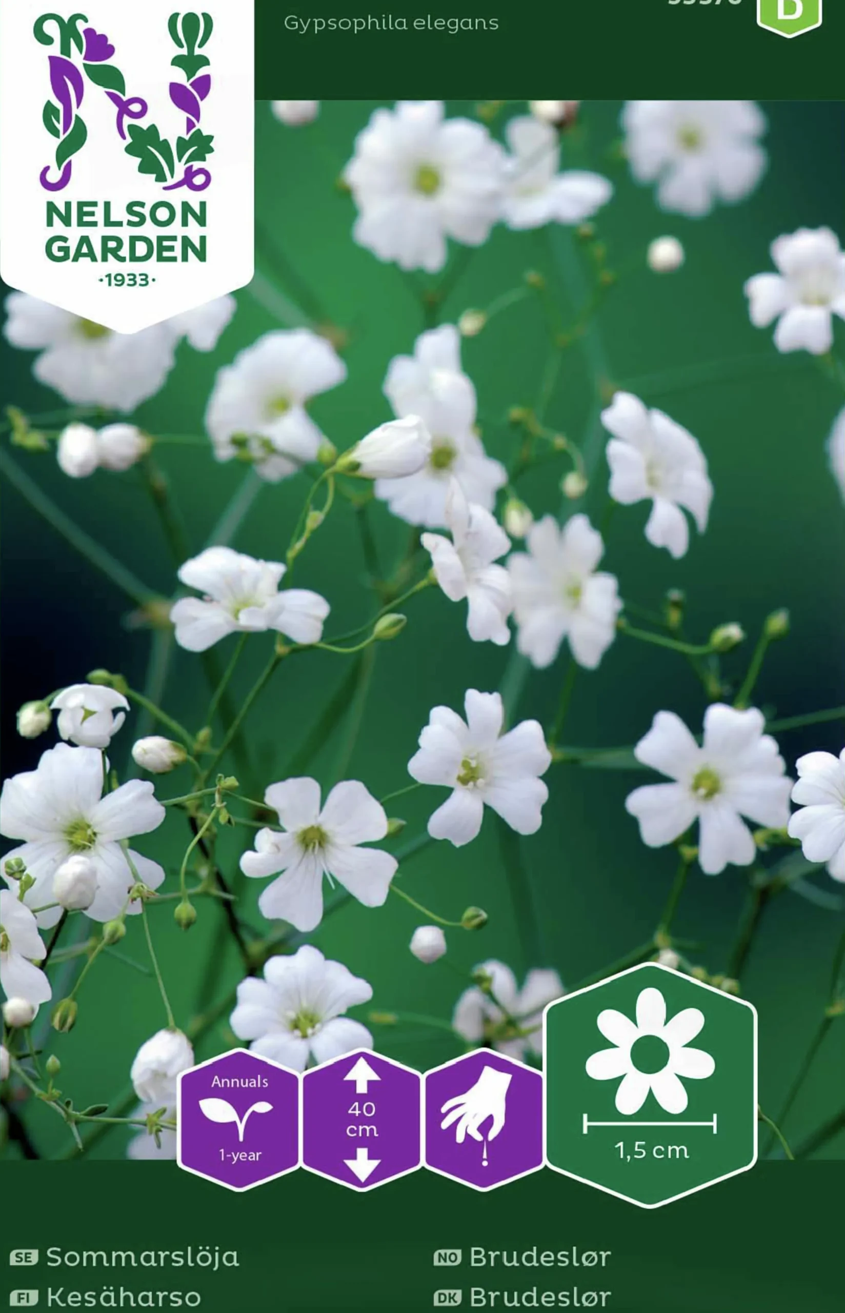 Fröer Nelson Garden Sommarslöja Vit