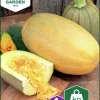 Fröer Nelson Garden Spagettipumpa Vegetable