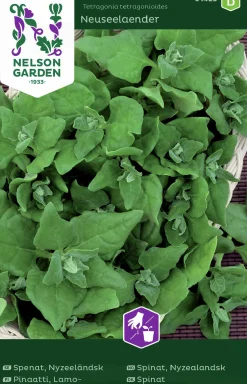 Fröer Nelson Garden Spenat Nyzeeländsk