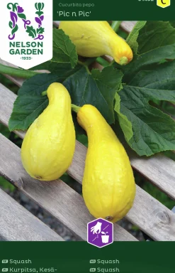 Fröer Nelson Garden Squash Pic n Pic Gul