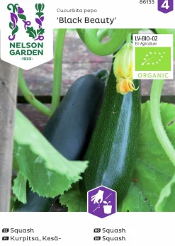 Fröer Nelson Garden Squash/Sommarpumpa Black Beauty Organic
