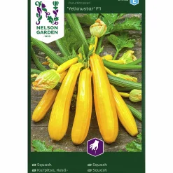 Fröer Nelson Garden Squash Yellowstar F1