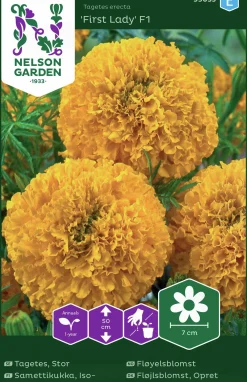 Fröer Nelson Garden Stortagetes First Lady F1