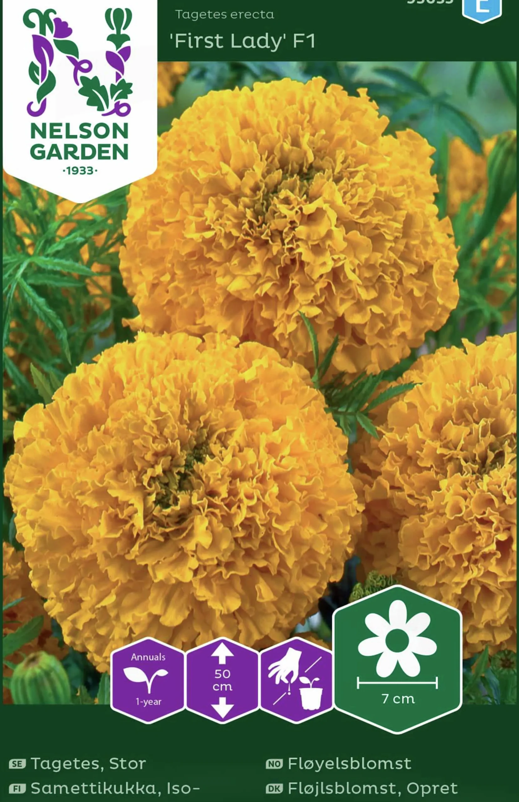 Fröer Nelson Garden Stortagetes First Lady F1