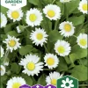 Fröer Nelson Garden Tusensköna Meadow Daisy Vit