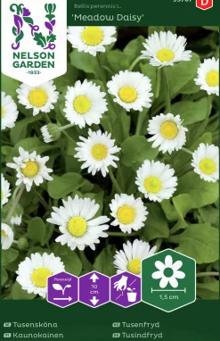 Fröer Nelson Garden Tusensköna Meadow Daisy Vit
