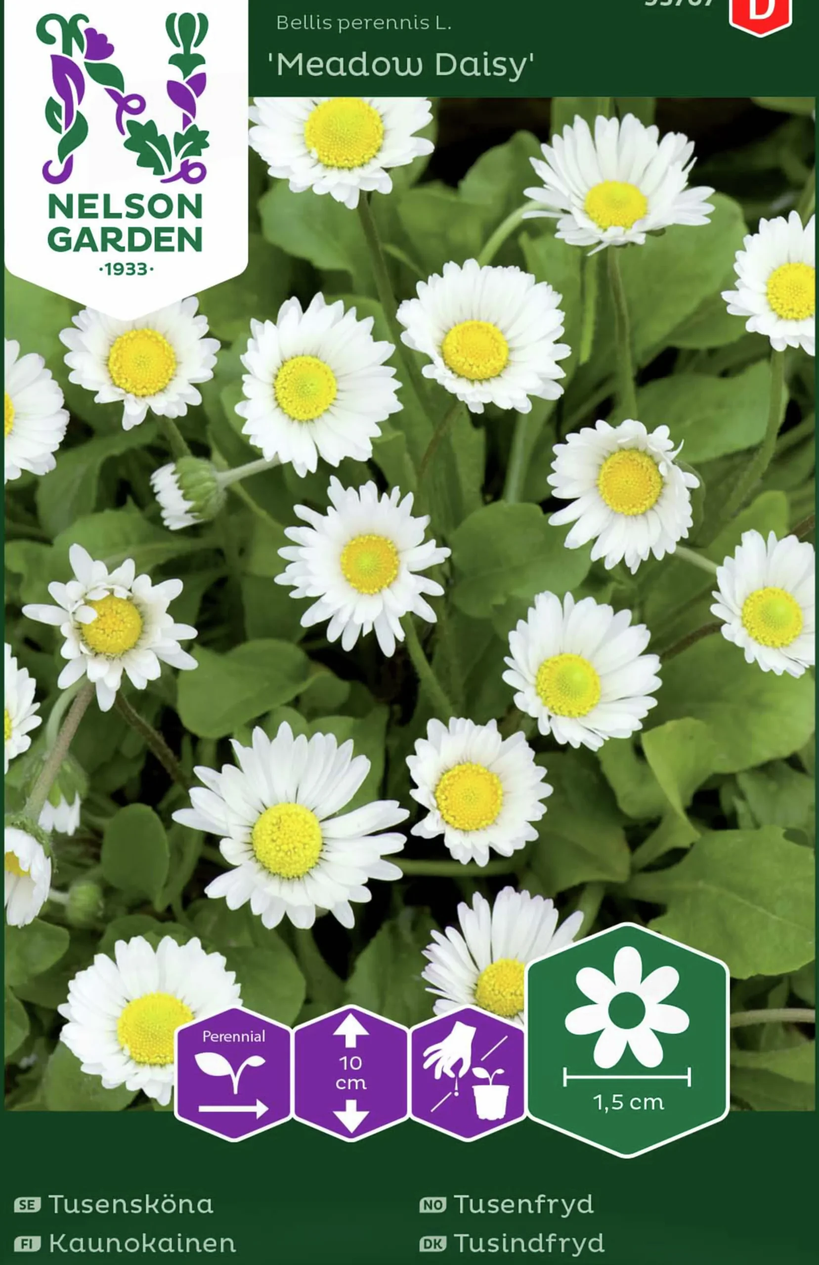 Fröer Nelson Garden Tusensköna Meadow Daisy Vit