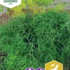 Fröer Nelson Garden Vanlig Dill Como