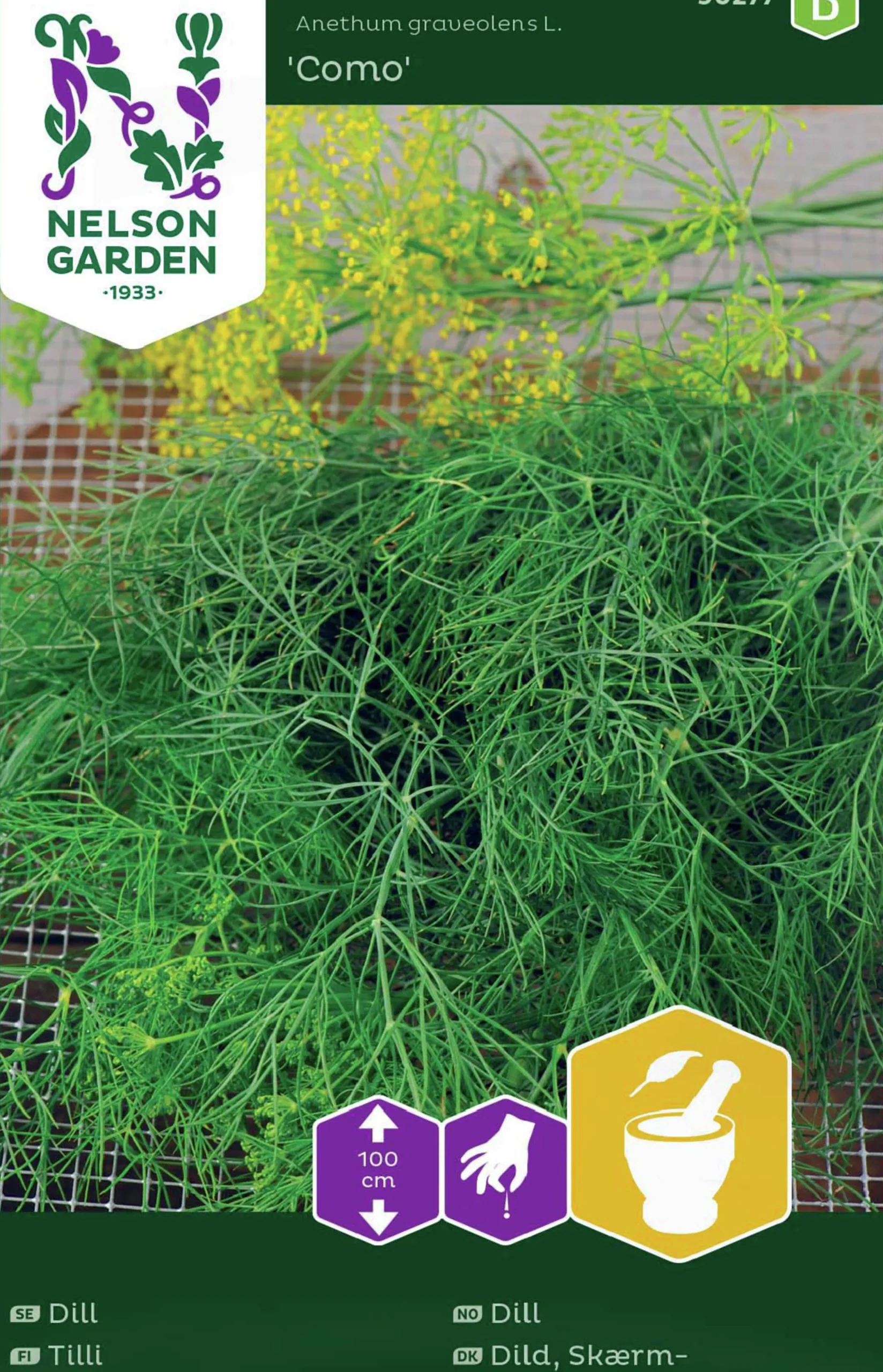 Fröer Nelson Garden Vanlig Dill Como