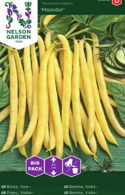Fröer Nelson Garden Vaxböna Maxidor Big Pack