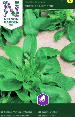 Fröer Nelson Garden Vintersallat Mache Vert