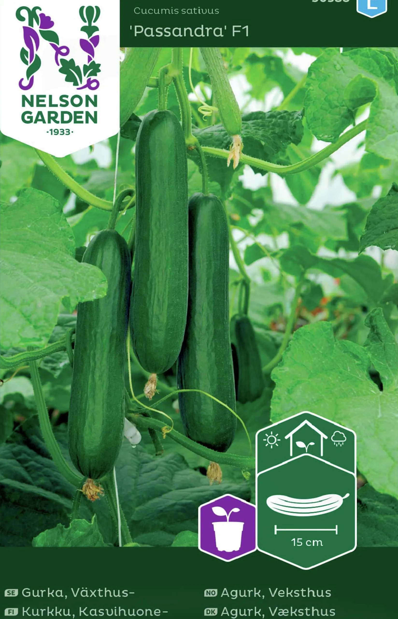 Fröer Nelson Garden Växthusgurka Passandra F1
