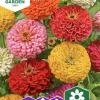 Fröer Nelson Garden Zinnia Hög Blandade färger