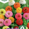 Fröer Nelson Garden Zinnia Sunbow Blandade färger
