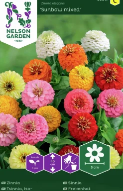 Fröer Nelson Garden Zinnia Sunbow Blandade färger