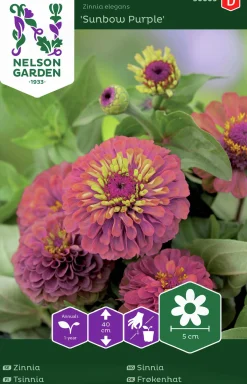 Fröer Nelson Garden Zinnia Sunbow Purple