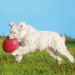 Frisbee i Naturgummi Trixie Ø24cm Blandade färger