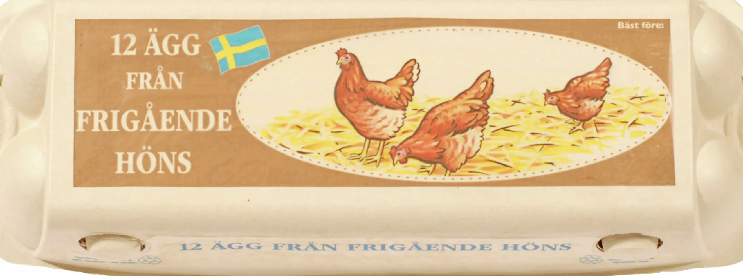 Äggkartong Frigående höns för 12 ägg 56-p