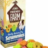 Gnagargodis Tiny Friends Farm Marsvin Scrummies Fruit 120g