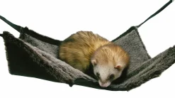 Gnagarleksak Rosewood 2-in-1 Hanging Tunnel & Hammock Grå