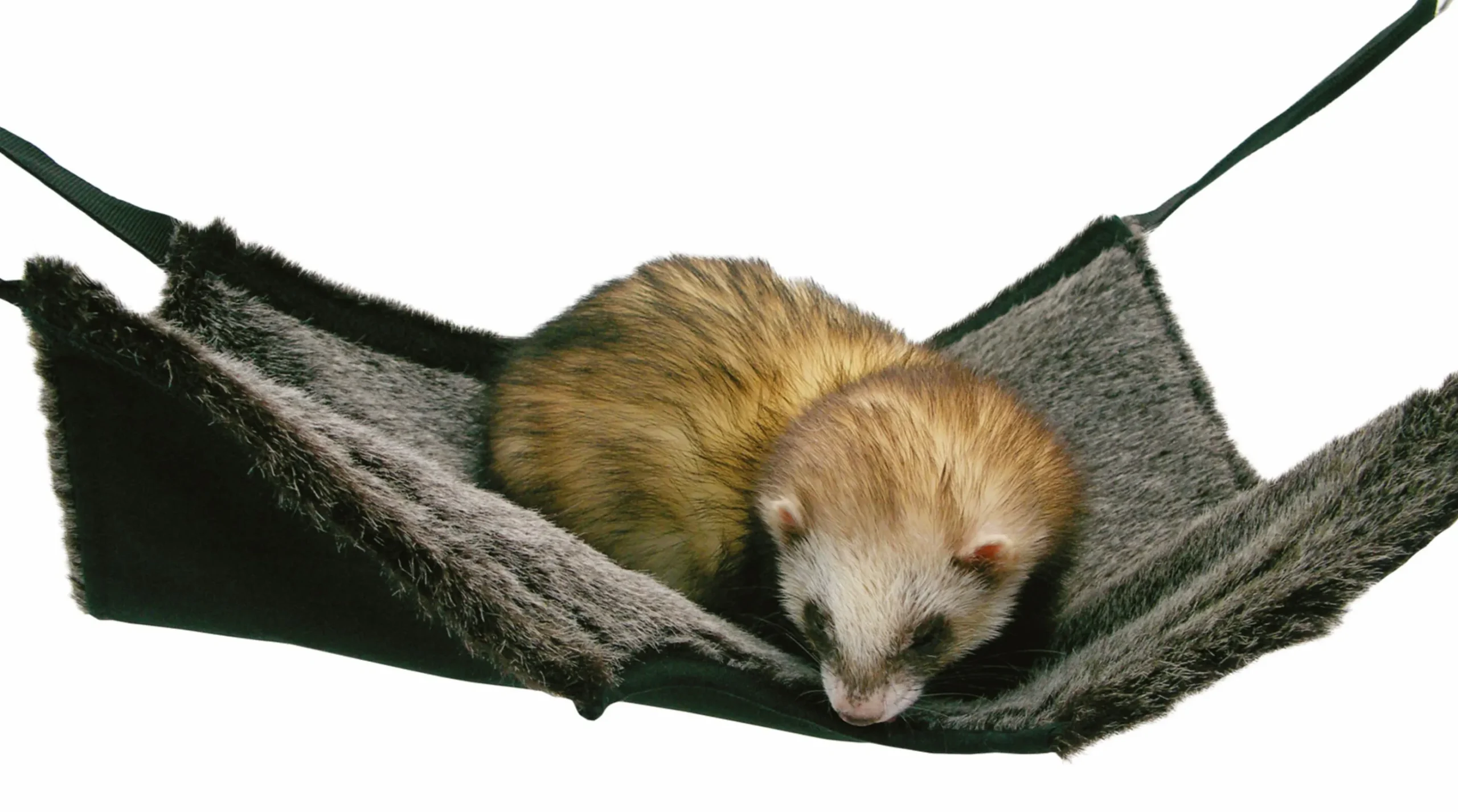 Gnagarleksak Rosewood 2-in-1 Hanging Tunnel & Hammock Grå